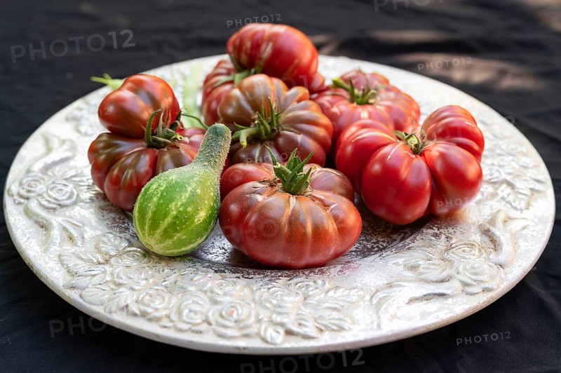 Tomatoes, ox hearts and a Vorgebirgstrauben pickled cucumber on a decorative plate on a black background, Baden-Württemberg, Germany, Europe