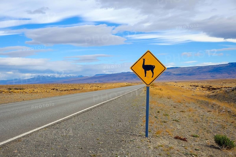 El Calafate, Patagonia, Argentina, Road sign warning of guanacos along the little-travelled country road between El Calafate and El Chaltén, South America