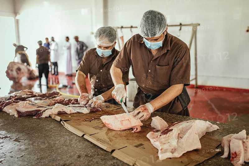 Cutting up a slaughtered dromedary (camelus dromedarius), camel slaughter, Salalah slaughterhouse, Dhofar, Oman, Asia