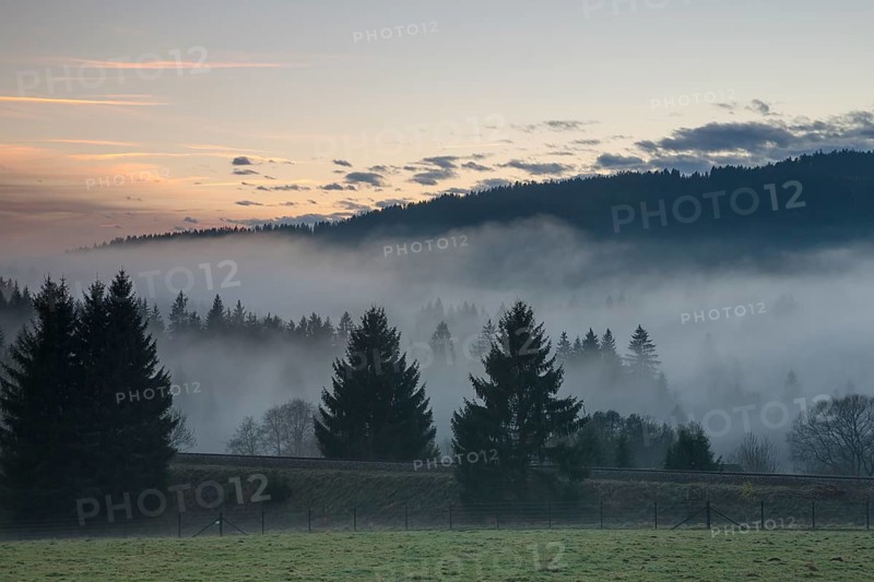 Autumnal evening mood with fog in the valley and in the forests of the Bavarian Forest National Park close to Frauenau