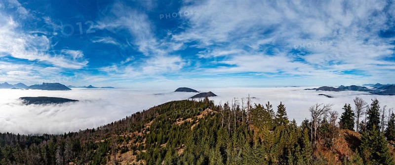 Drone shot, view from Schwarzenberg to a sea of fog in the Salzach valley, Osterhorn group, Salzkammergut, Salzburg province, Austria, Europe