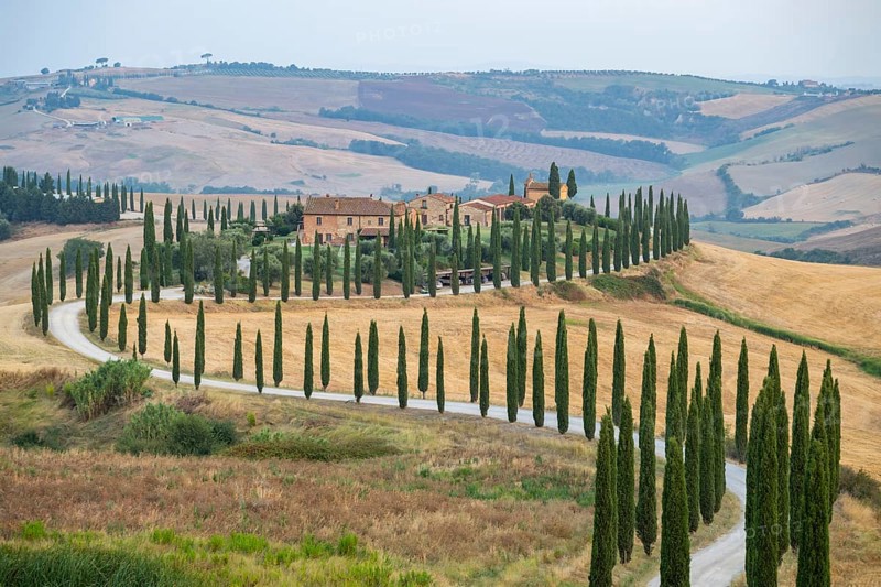 Typical Tuscan landscape in Crete Senesi with hills, trees, fields, cypresses and farm road in autumn, sunrise, Agriturismo Baccoleno, UNESCO World Heritage Site, Siena Province, Tuscany, Italy, Europe