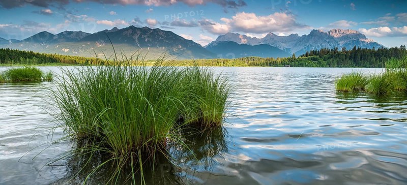 Evening mood at Barmsee with reeds, view of the Karwendel mountains, Krün, Bavaria, Germany, Europe