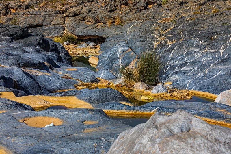 Waterhole in the Wadi Dam, near the town of Al Ayn, Arabian Peninsula, Sultanate of Oman