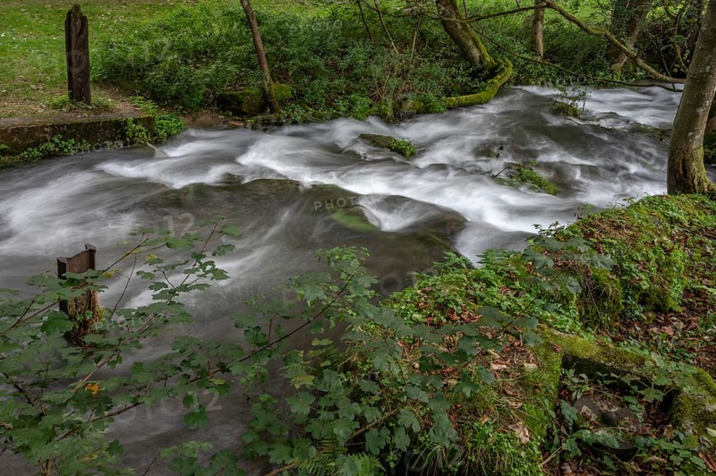 Rapids of the Trubach, Trubach Valley, Egloffstein, Upper Franconia, Bavaria, Germany, Europe