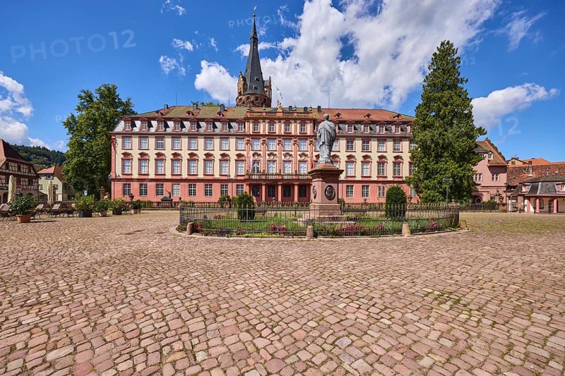 Monument to Count Franz, Erbach Castle, trees, cobblestones, blue sky with cumulus clouds, market square, Erbach, Odenwald, Odenwaldkreis, Hesse, Germany, Europe