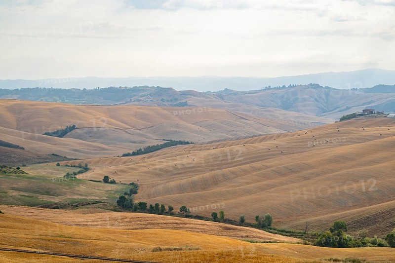 Typical Tuscan landscape in Crete Senesi with hills, trees, fields, cypresses and farm road in summer, Tuscany, Italy, Europe