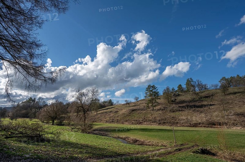 Franconian landscape with bare trees in February, Thuisbrunn, Upper Franconia, Bavaria, Germany, Europe