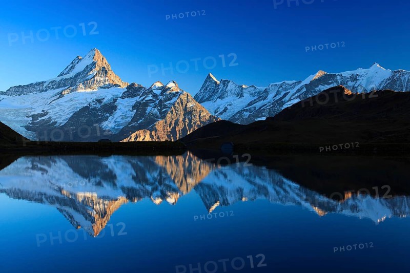 Bachalpsee, Schreckhorn, 4078 m, Finsteraarhorn, 4274 m, Bernese Oberland, Switzerland, Europe
