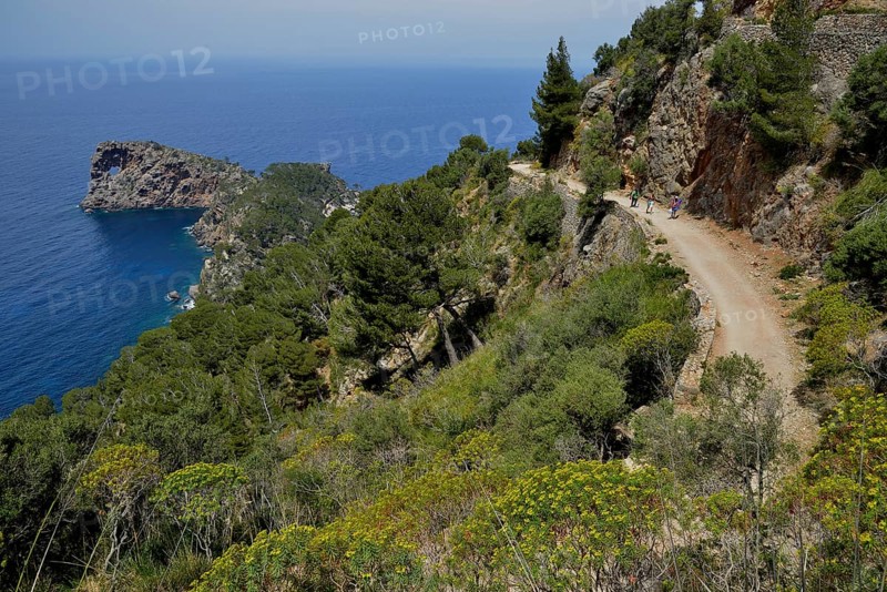 Sa Foradada peninsula with rock structure, between Deià and Valldemossa, Majorca, Balearic Islands, Spain, Europe