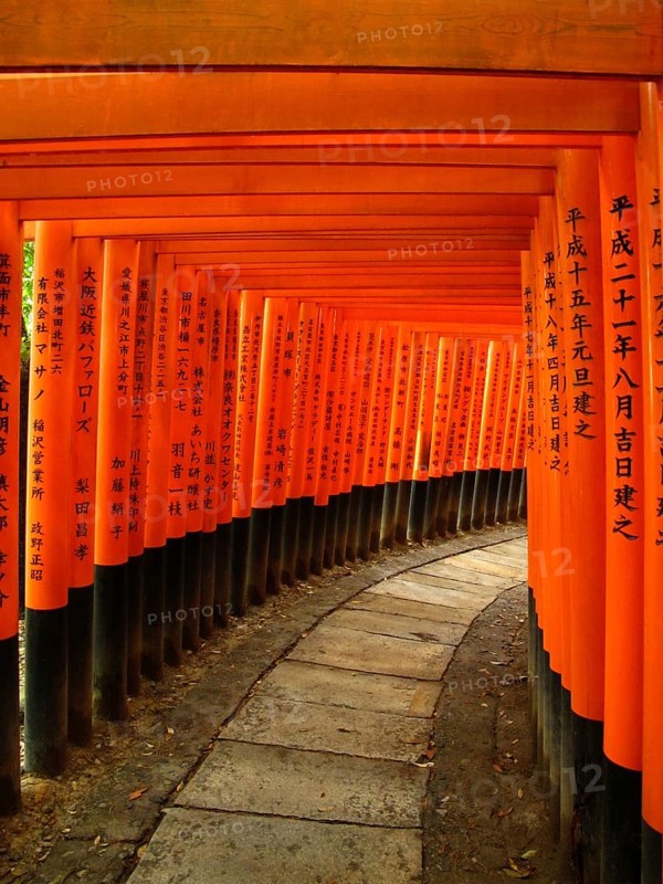 Red Gates, Torii Gates, Avenue of Torii, Taisha, Kyoto, Tori, Fushimi Inari Shrine, Kyoto, Japan, Asia