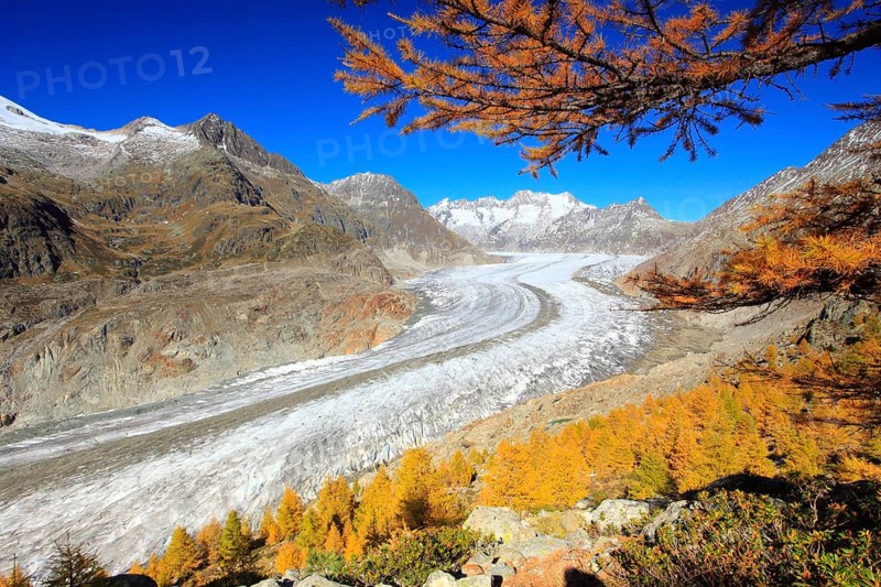 Great Aletsch Glacier and Wannenhorns, Valais, Switzerland, Europe
