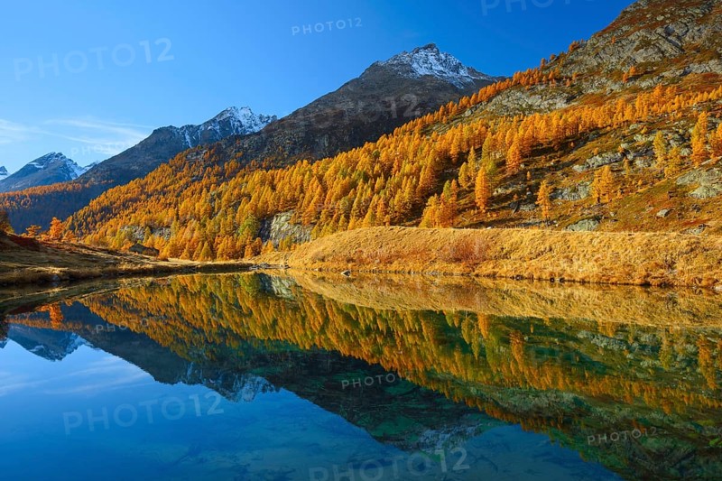 Grundsee in the Lötschental, Valais, Switzerland, Europe