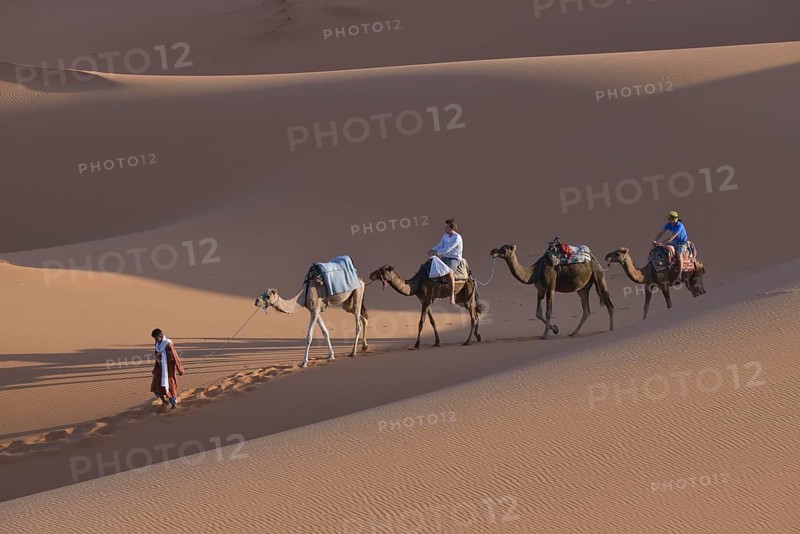 Tourists riding camels in the dunes, Sahara, Meknès-Tafilalet region, Morocco, Africa