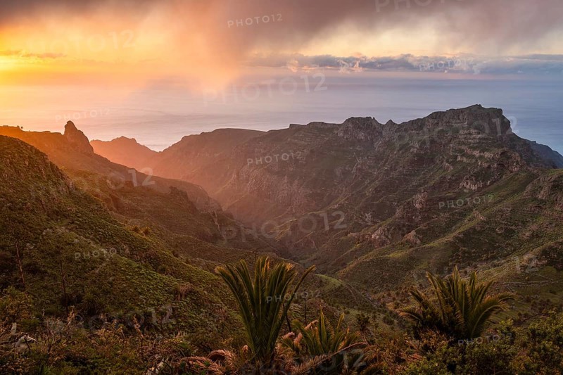 View of the Barranco Juan de Vera at sunrise. Mountains, palm trees, rocks and sea. Near Mirador Degollada de Peraza. La Gomera, Canary Islands, Spain, Europe