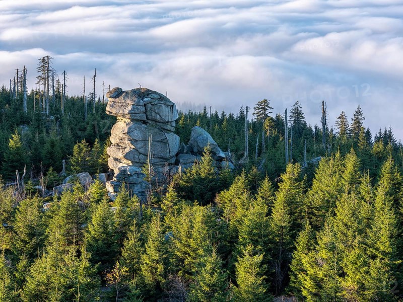 View from the summit of the Dreisesselberg (1333m) over rock tower, forest and sea of fog, inversion weather, fog in the lowlands, Lower Bavaria, Bavarian Forest, Bavaria, Germany, Europe