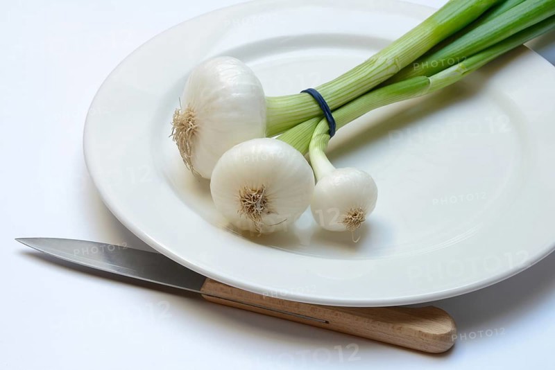 Onion, spring onions and knife on plate