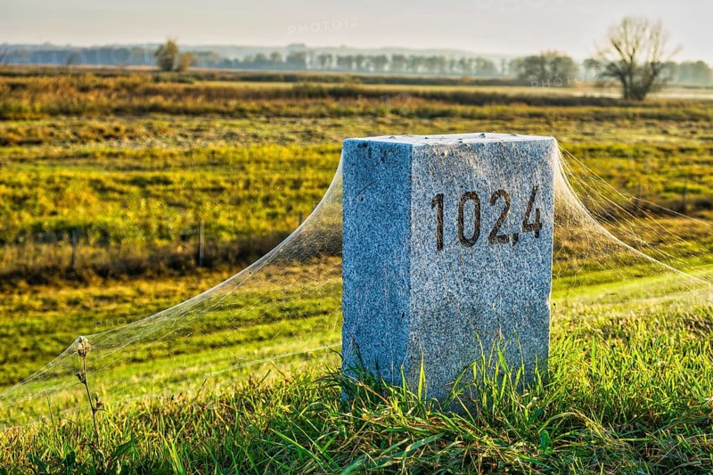 Cobwebs on kilometre stone on dyke near Schwedt Oder, Brandenburg, Germany, Europe