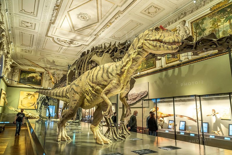 Tyrannosaurus rex in the dinosaur hall of the Natural History Museum Vienna, Austria, Europe