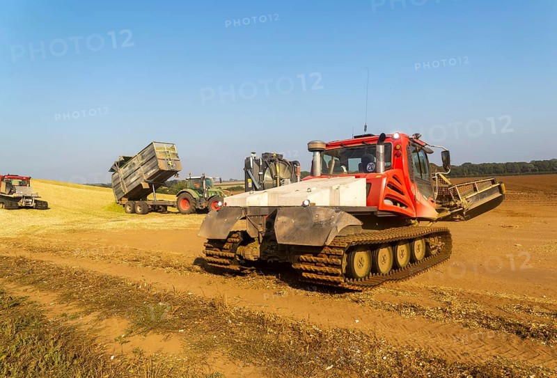 Piston Bully tracked bulldozer vehicles building silage clamp of sweetcorn maize in field stored for biofuel, Alderton, Suffolk, England, UK