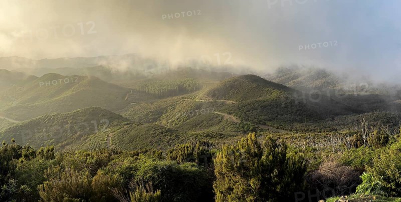 Sunset, view from the mountain Alto de Garajonay, Garajonay National Park, La Gomera, Canary Island, Spain, Europe