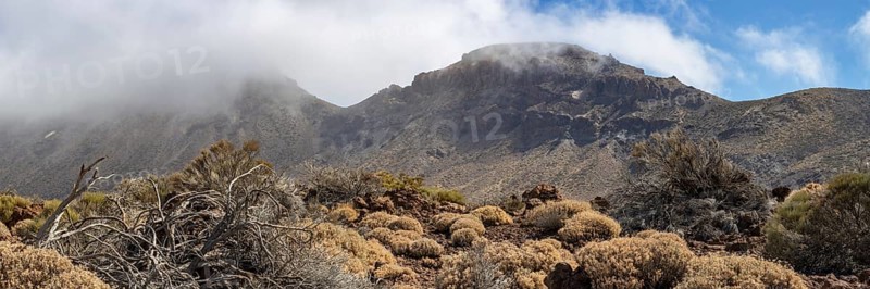 Faded Teide gorse and the summit of Montaña Guajara, also: Alto de Guajara, 2715m, crater walls, Caldera de las Cañadas, a huge volcanic cauldron, Teide National Park, Parque Nacional del Teide, Tenerife, Canary Islands, Spain, Europe