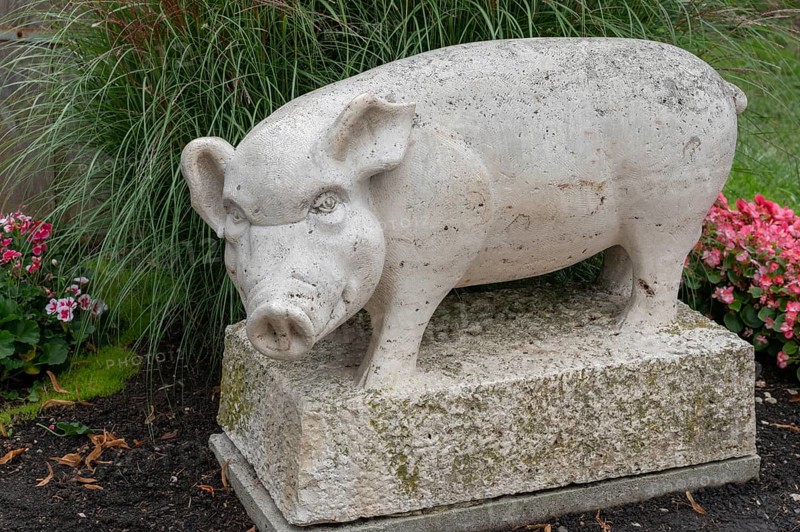 Pig figure, symbolising the rescue of the town of Nördlingen in 1440, Nördlingen, Bavaria, Germany, Europe