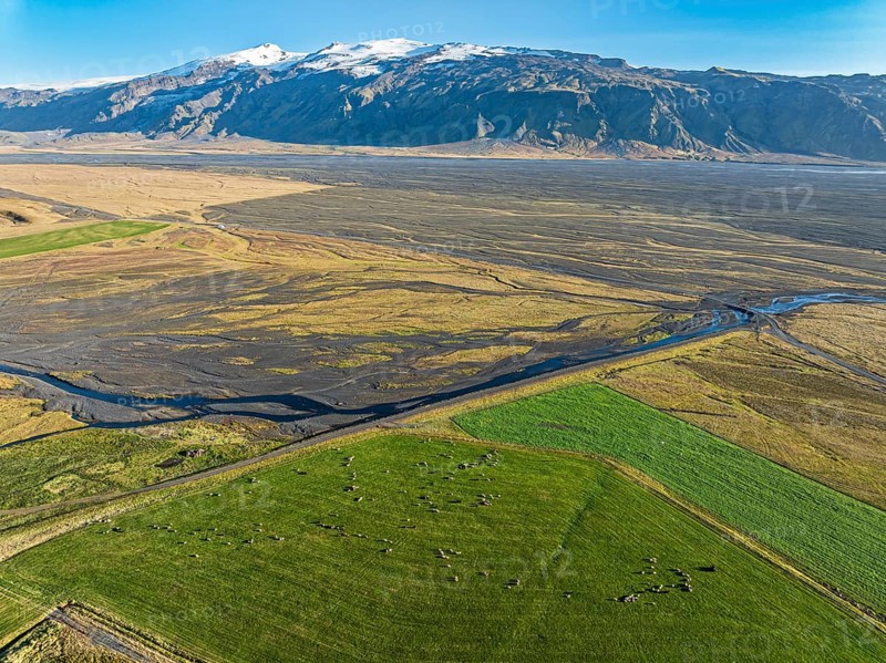 Grazing sheep, aerial view over meadows to glacier Eyjafjallajökull, Fljotsdalur valley, Iceland, Europe