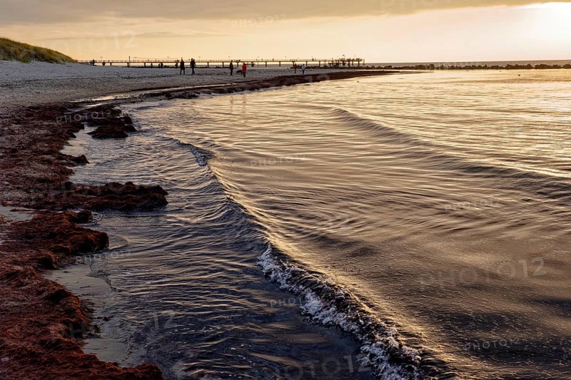 Baltic Sea beach, Baltic Sea coast with the Wustrow pier, evening mood, Baltic seaside resort Wustrow, Fischland-Darß-Zingst peninsula, Mecklenburg-Western Pomerania, Germany, Europe