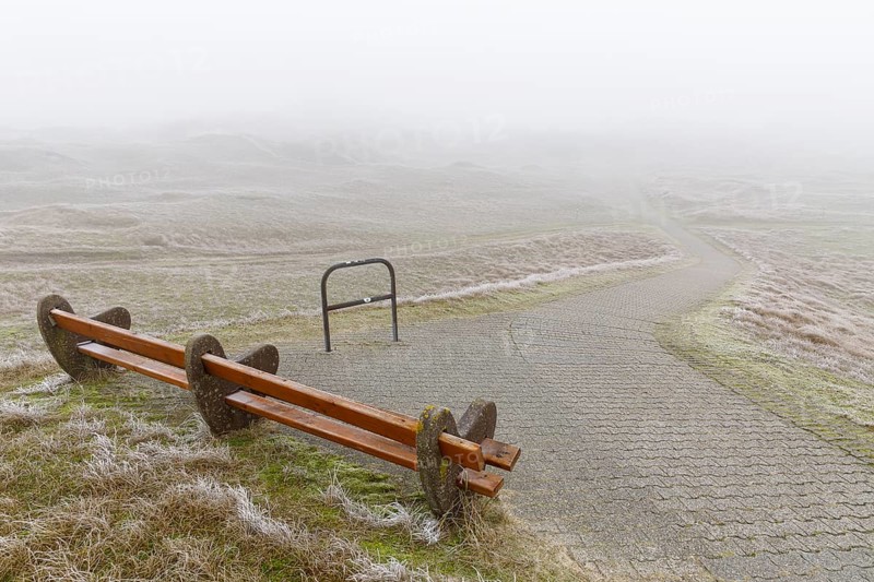 Path through the dunes in fog and hoarfrost, Norderney, Lower Saxony, Germany, Europe