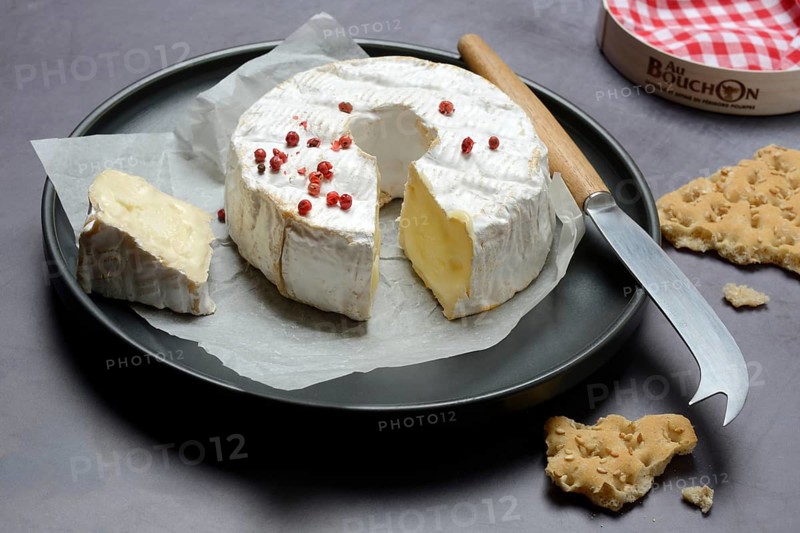 French soft cheese on plate with cheese knife, France, Europe