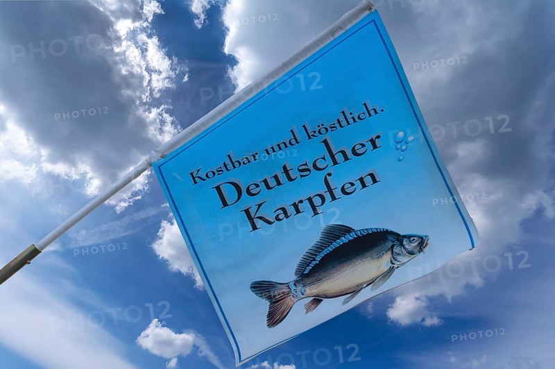 Flag with a carp in front of a fish restaurant, Nuremberg, Middle Franconia, Bavaria, Germany, Europe