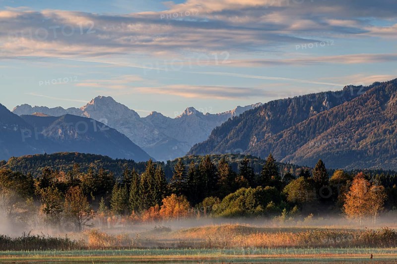 Foggy mood over trees in the morning light, mountain landscape, autumn, near Murnau, behind Wetterstein mountains, Bavaria, Germany, Europe