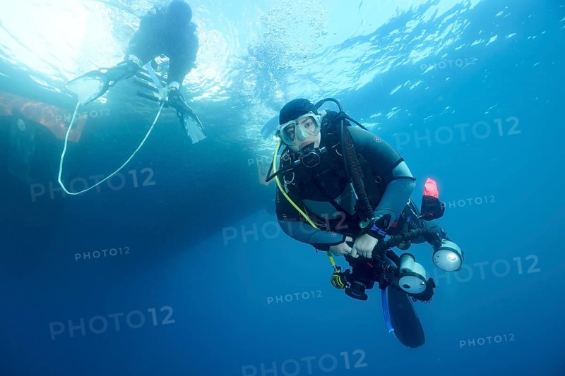 Diver under water with complete equipment waiting until the ladder back to the dive boat is free, dive site marine reserve Cap de Creus, Rosas, Costa Brava, Spain, Mediterranean Sea, Europe
