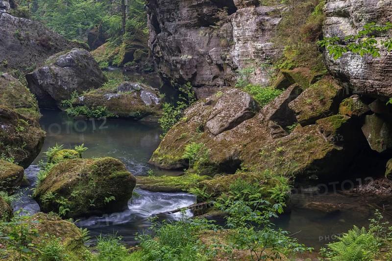 Flowing water with ferns and rocks in the Wild Gorge, river Kamnitz, Hrensko, Ustecky kraj, Czech Republic, Europe