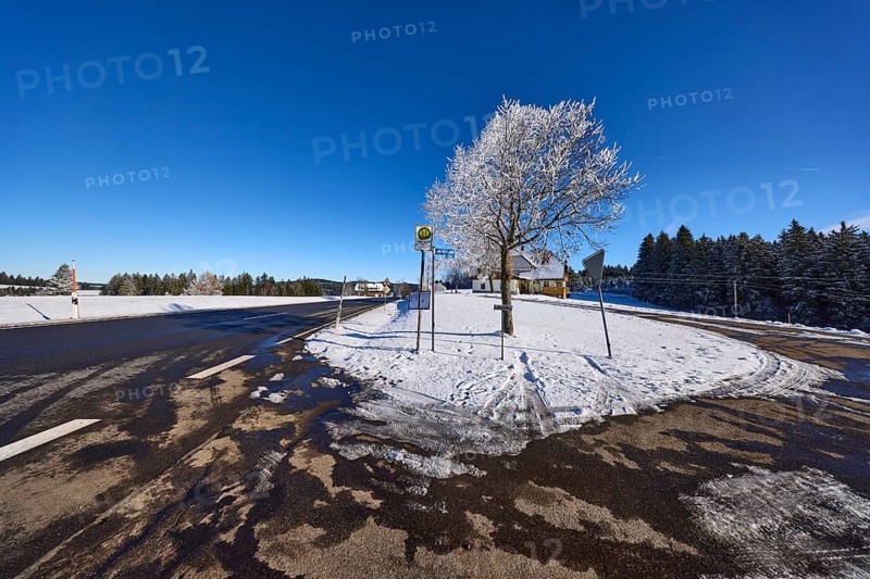 Winter landscape, federal road B500, bus stop, snow-covered tree, deep blue cloudless sky, Titisee-Neustadt, Black Forest, Breisgau-Hochschwarzwald district, Baden-Württemberg, Germany, Europe
