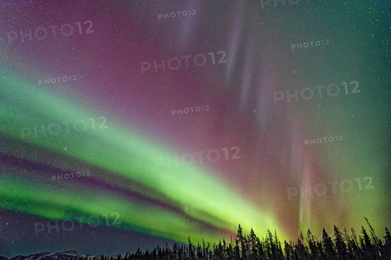 Aurora Borealis, Northern Lights, extreme starry sky, intense colouring, Yukon Territory, Canada, North America