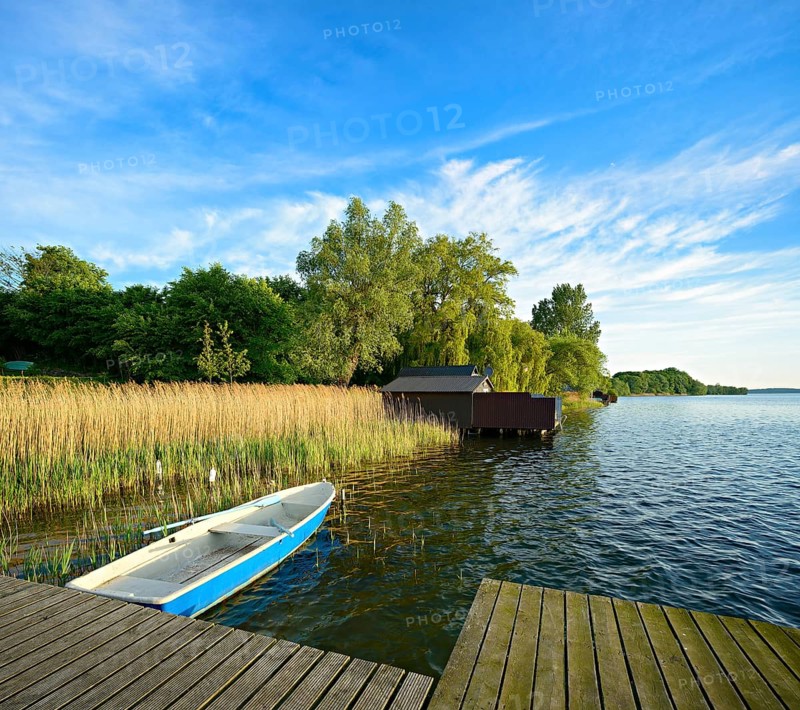 Wooden jetty in the reeds, rowing boat and boathouses, Schaalsee Biosphere Reserve, Zarrentin am Schaalsee, Mecklenburg-Western Pomerania, Germany, Europe