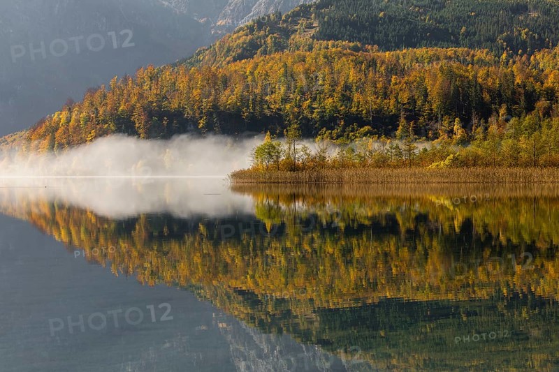 Lake Almsee in autumn with a forest reflected in the lake. A slowly dissipating fog moves over the lake