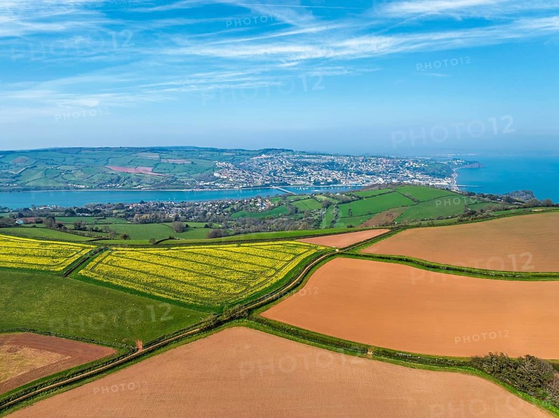 Rapeseed fields over the River Teign from a drone, Teignmouth, Shaldon, Devon, England, United Kingdom, Europe