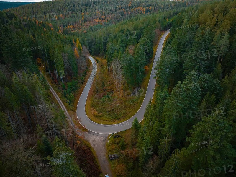 S-curve through the forest, Black Forest, Germany, Europe