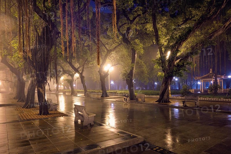 Guangzhou People's Park with mist fog at night. Guangzhou, China, Asia
