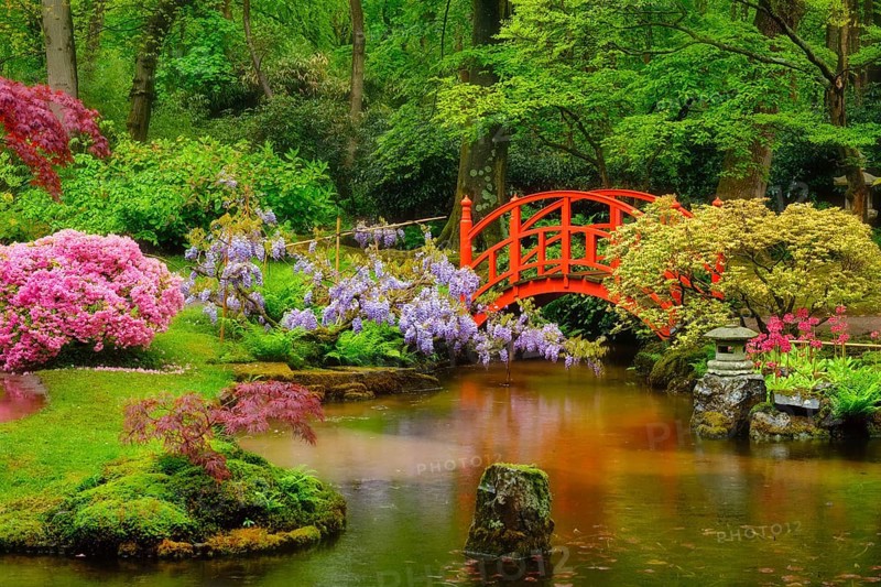 Small bridge in Japanese garden, Park Clingendael, The Hague, Netherlands