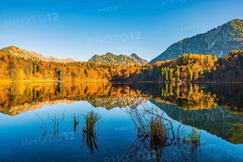 Freibergsee, near Oberstdorf, with the Allgäu Alps behind, Allgäu, Bavaria, Germany, Europe
