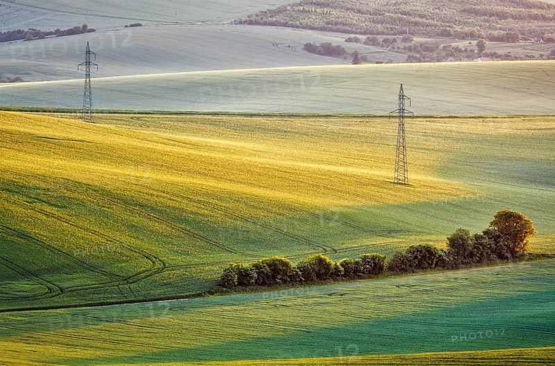 Moravian summer rolling landcsape with two power line tower. Moravia, Czech Republic, Europe