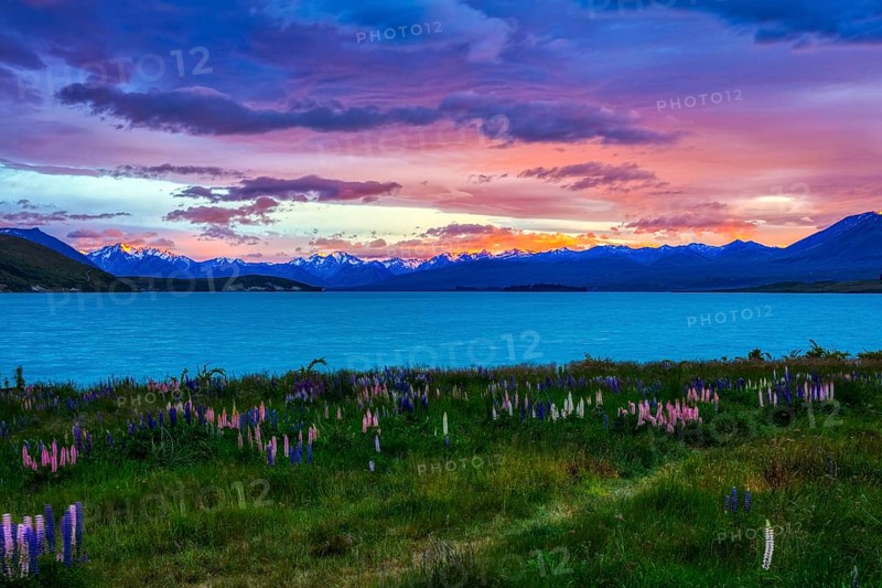 Sonnenaufgang, Lake Tekapo, Neuseeland
