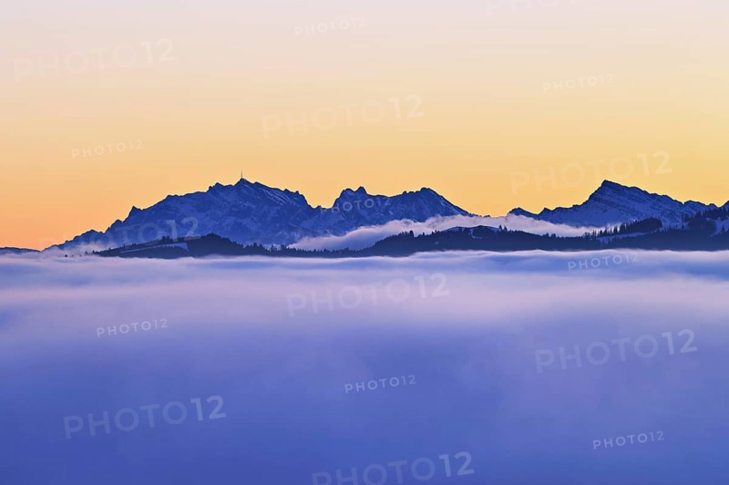 Sunset over the sea of fog, in the background the Säntis, Canton Zug, Switzerland, Europe