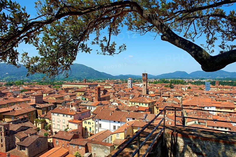 Panoramic roof top view from the Guinigi Tower of the historic centre of Lucca, Tunscany, Italy, Europe