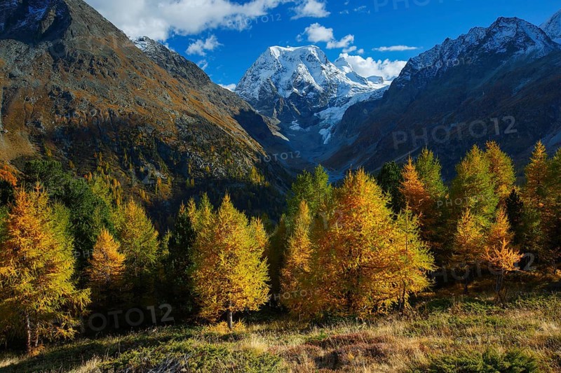 Mt Collon, Arollatal, Valais Switzerland