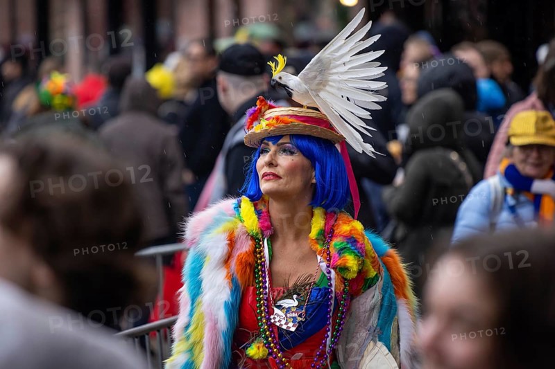 The Frankfurt carnival parade will parade across the Römerberg in Frankfurt am Main on 11 February 2024. Costumed presenter Sonya Krauss comments on the television broadcast on Hessischer Rundfunk (hr) ., Römerberg, Frankfurt am Main, Hesse, Germany, Europe